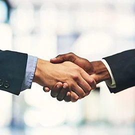 Professionals shaking hands